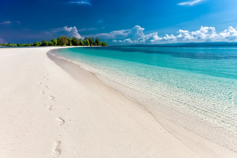 Beach Adventure